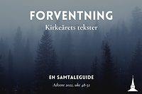 Forventning, Kirkeårets tekster